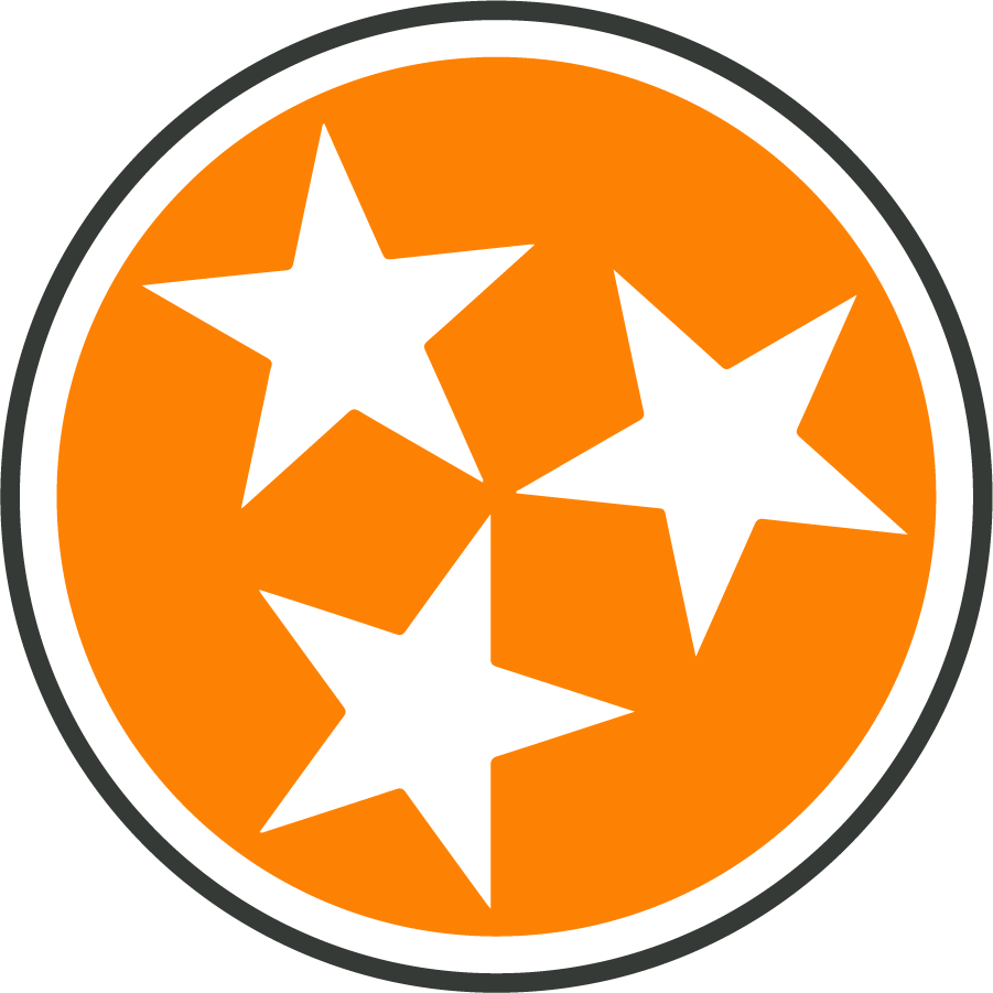 Tennessee Volunteers 2020-Pres Secondary Logo diy iron on heat transfer